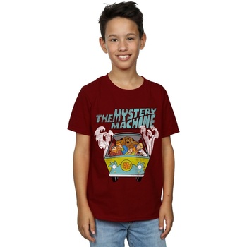 Vêtements Garçon T-shirts manches courtes Scooby Doo Mystery Machine Multicolore