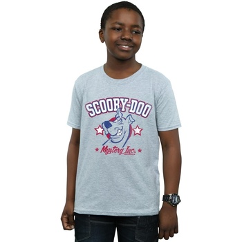 Vêtements Garçon T-shirts manches courtes Scooby Doo Collegiate Mystery Inc Gris
