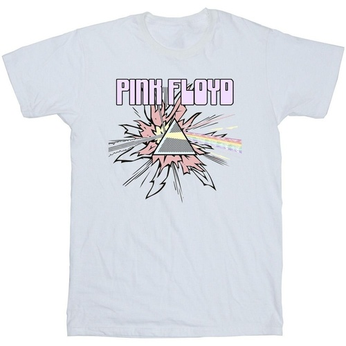 Vêtements Fille T-shirts manches longues Pink Floyd Pastel Triangle Blanc
