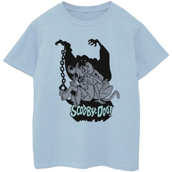 Vêtements Garçon T-shirts manches courtes Scooby Doo Scared Jump Bleu