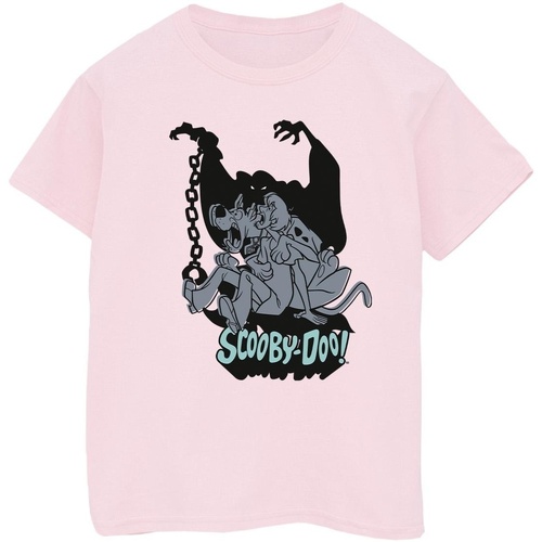 Vêtements Garçon T-shirts manches courtes Scooby Doo Scared Jump Rouge