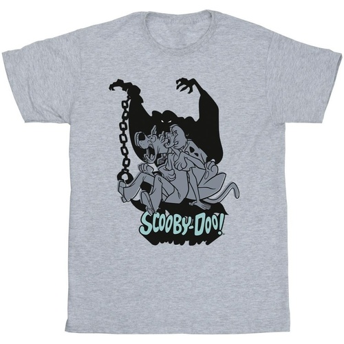 Vêtements Garçon T-shirts manches courtes Scooby Doo Scared Jump Gris