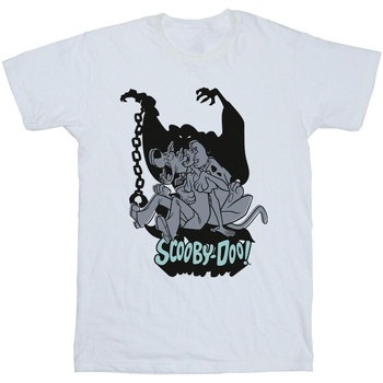 Vêtements Garçon T-shirts manches courtes Scooby Doo Scared Jump Blanc