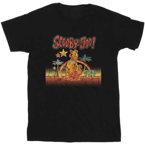 Vêtements Garçon T-shirts manches courtes Scooby Doo Palm Trees Noir