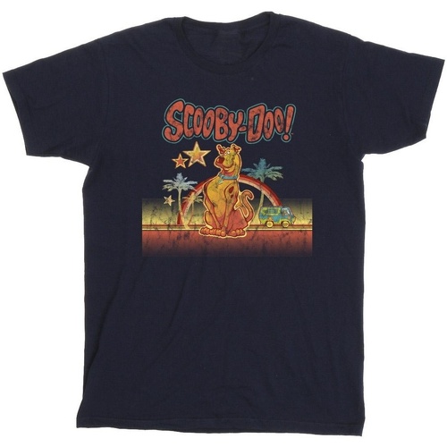 Vêtements Garçon T-shirts manches courtes Scooby Doo Palm Trees Bleu