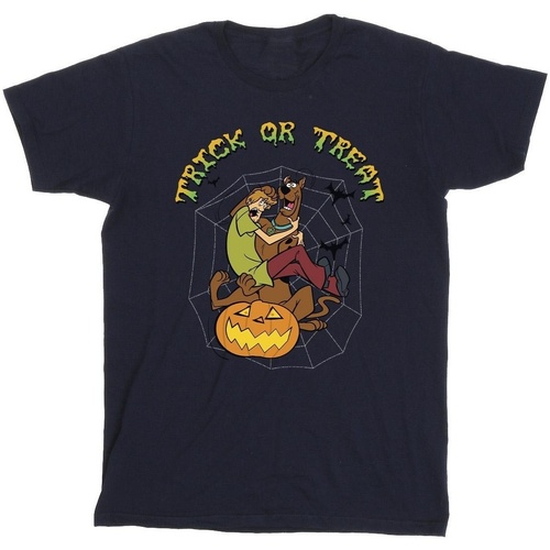 Vêtements Garçon T-shirts & Polos Scooby Doo Trick Or Treat Bleu