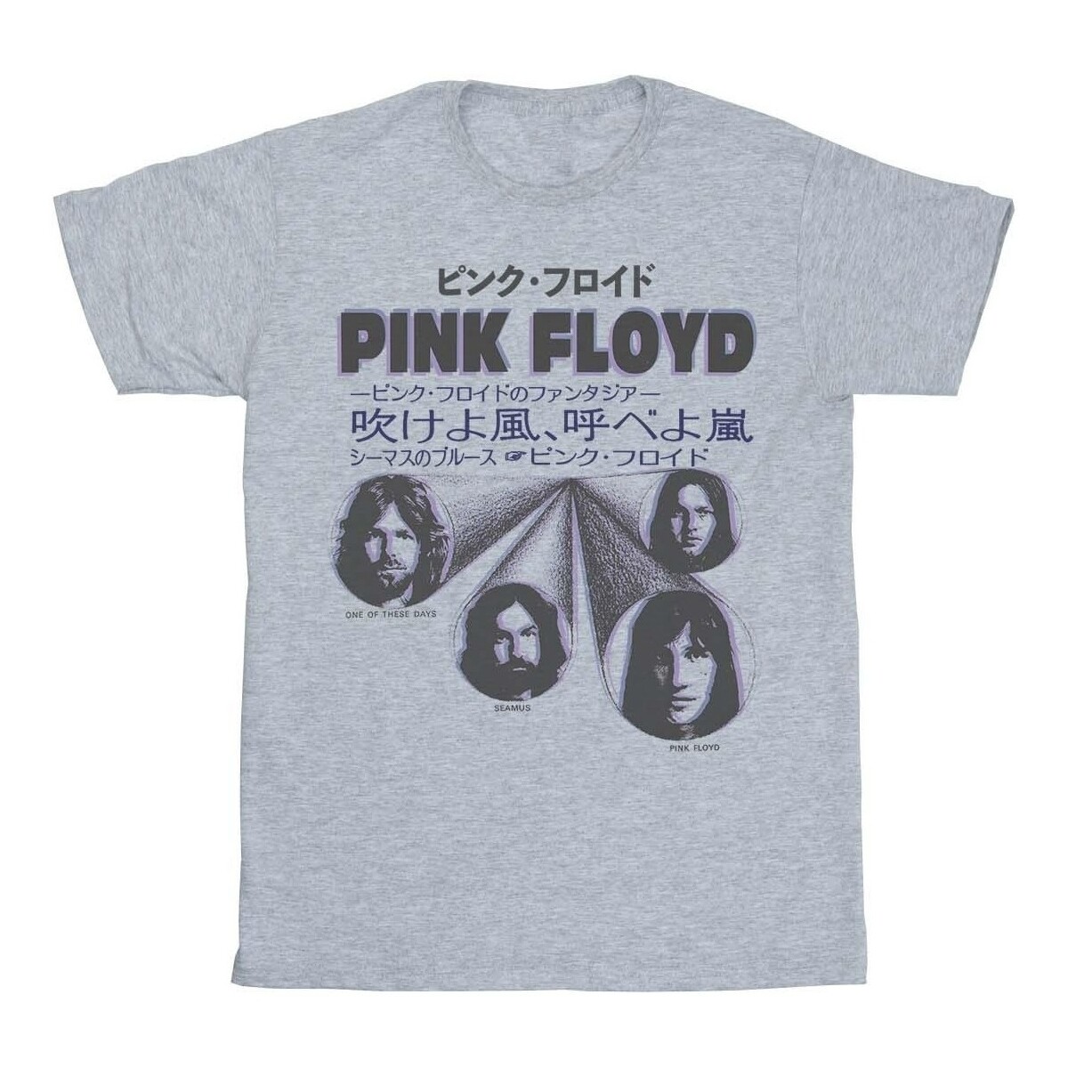 Vêtements Fille T-shirts manches longues Pink Floyd Japanese Cover Gris