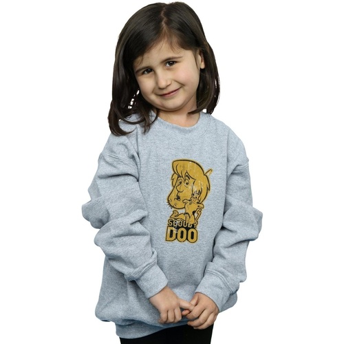 Vêtements Fille Sweats Scooby Doo And Shaggy Gris