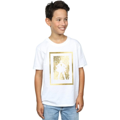Vêtements Garçon T-shirts manches courtes Dc Comics Shazam Gold Text Blanc