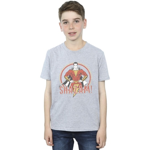 Vêtements Garçon T-shirts manches courtes Dc Comics Shazam Retro Circle Distressed Gris