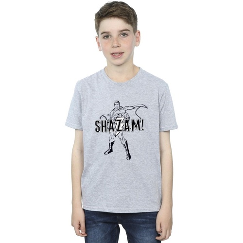 Vêtements Garçon T-shirts manches courtes Dc Comics Shazam Outline Gris