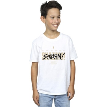 Vêtements Garçon T-shirts manches courtes Dc Comics Shazam Fury Of The Gods Vandalised Logo Blanc