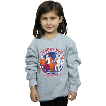 Vêtements Fille Sweats Scooby Doo Collegiate Circle Gris