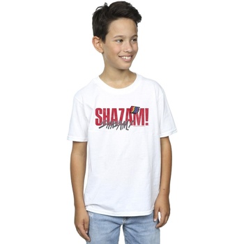 Vêtements Garçon T-shirts manches courtes Dc Comics Shazam Fury Of The Gods Pride Distress Blanc