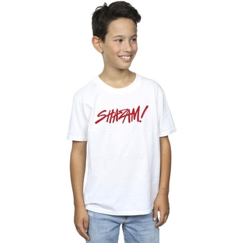 Vêtements Garçon T-shirts manches courtes Dc Comics Shazam Fury Of The Gods Spray Paint Logo Blanc