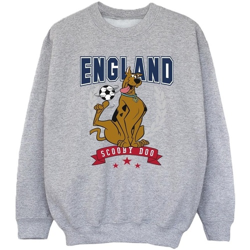 Vêtements Fille Sweats Scooby Doo England Football Gris