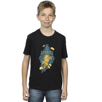 Vêtements Garçon T-shirts manches courtes Dc Comics Shazam Fury Of The Gods Golden Animal Bolt Noir
