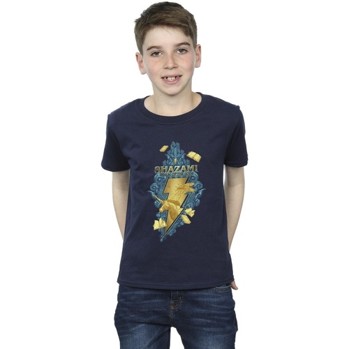 Vêtements Garçon T-shirts manches courtes Dc Comics Shazam Fury Of The Gods Golden Animal Bolt Bleu