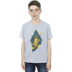 Vêtements Garçon T-shirts manches courtes Dc Comics Shazam Fury Of The Gods Golden Animal Bolt Gris