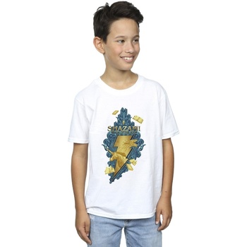 Vêtements Garçon T-shirts manches courtes Dc Comics Shazam Fury Of The Gods Golden Animal Bolt Blanc