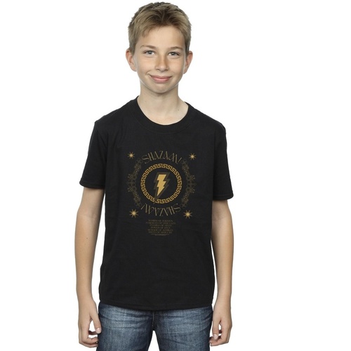Vêtements Garçon T-shirts manches courtes Dc Comics Shazam Fury Of The Gods Golden Spiral Chest Noir