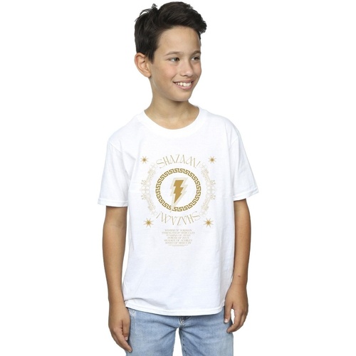Vêtements Garçon T-shirts manches courtes Dc Comics Shazam Fury Of The Gods Golden Spiral Chest Blanc