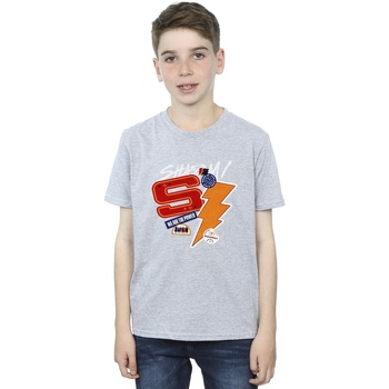 Vêtements Garçon T-shirts manches courtes Dc Comics Shazam Fury Of The Gods Sticker Spam Gris