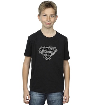 Vêtements Garçon T-shirts manches courtes Dc Comics Superman Logo Sketch Noir