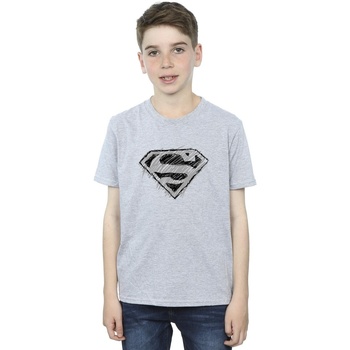 Vêtements Garçon T-shirts manches courtes Dc Comics Superman Logo Sketch Gris