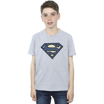 Vêtements Garçon T-shirts manches courtes Dc Comics Superman Indigo Blue Logo Gris