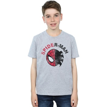 Vêtements Garçon T-shirts manches courtes Marvel Spider-Man Classic Split Gris