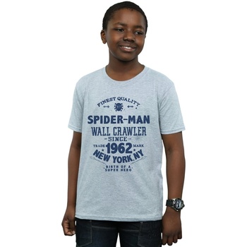 Vêtements Garçon T-shirts manches courtes Marvel Spider-Man Finest Quality Gris