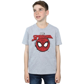 Vêtements Garçon T-shirts manches courtes Marvel Spider-Man Logo Head Gris
