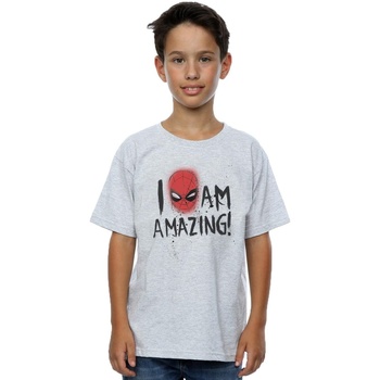 Vêtements Garçon T-shirts manches courtes Marvel Spider-Man I Am Amazing Gris