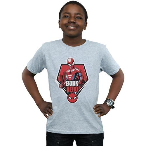 Vêtements Garçon T-shirts manches courtes Marvel Spider-Man Born Hero Gris