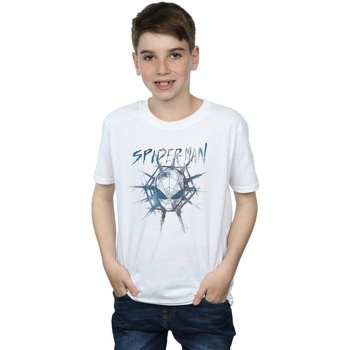Vêtements Garçon T-shirts manches courtes Marvel Spider-Man Web Fade Blanc