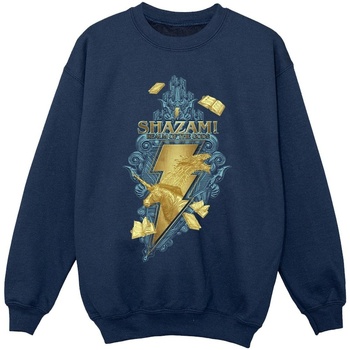 Vêtements Fille Sweats Dc Comics Shazam Fury Of The Gods Golden Animal Bolt Bleu
