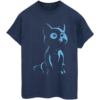 Vêtements Femme T-shirts manches longues Disney Lightyear Sox Cute Stare Bleu