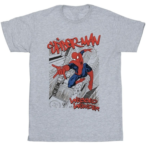 Vêtements Garçon T-shirts manches courtes Marvel Spider-Man Sketch City Gris