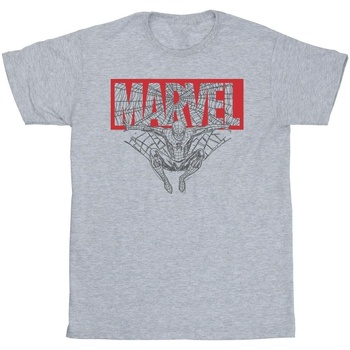 Vêtements Garçon T-shirts manches courtes Marvel Spider Man Logo Red Gris