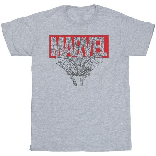Vêtements Garçon T-shirts manches courtes Marvel Spider Man Logo Red Gris