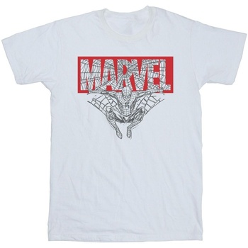 Vêtements Garçon T-shirts manches courtes Marvel Spider Man Logo Red Blanc