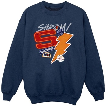 Vêtements Fille Sweats Dc Comics Shazam Fury Of The Gods Sticker Spam Bleu