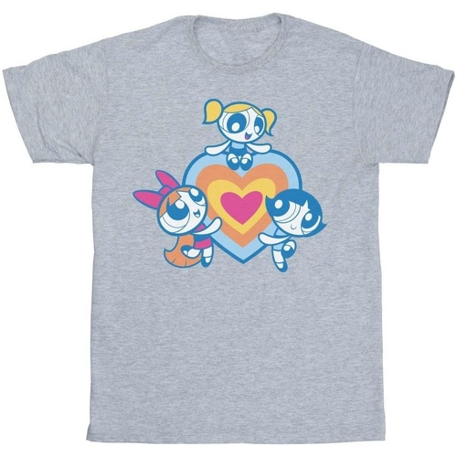 Vêtements Fille T-shirts manches longues The Powerpuff Girls Heart Group Gris