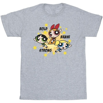 Vêtements Fille T-shirts manches longues The Powerpuff Girls Bold Brave Strong Gris