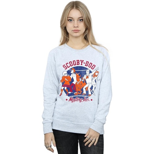 Vêtements Femme Sweats Scooby Doo Collegiate Circle Gris