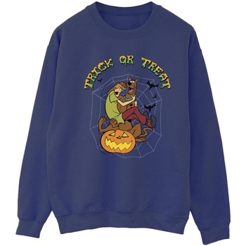 Vêtements Femme Sweats Scooby Doo Trick Or Treat Bleu