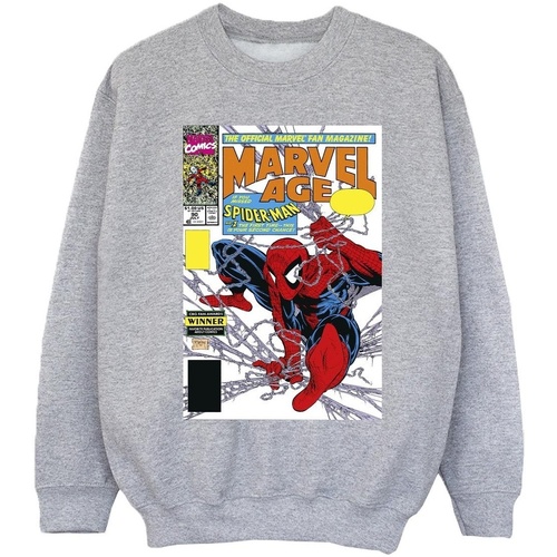 Vêtements Fille Sweats Marvel Spider-Man  Age Comic Cover Gris