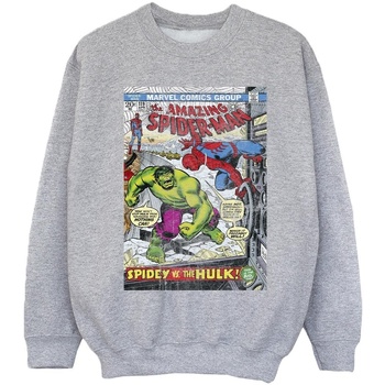 Vêtements Fille Sweats Marvel Spider-Man VS Hulk Cover Gris
