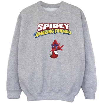 Vêtements Fille Sweats Marvel Spider-Man Hanging Upside Down Gris